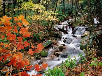 Grandfather Mountain North Carolina screenshot