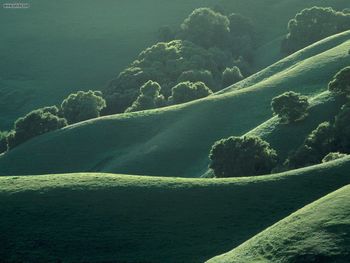 Grassy Ridgelines Briones Regional Park California screenshot