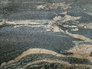 Gray Veined Rock W screenshot