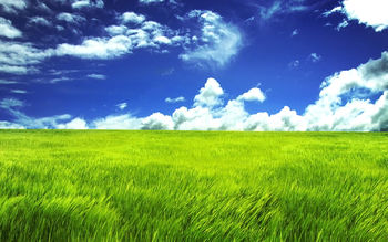 Green Grassland screenshot