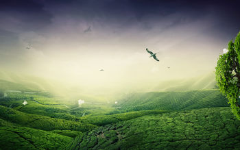 Green Landscape screenshot