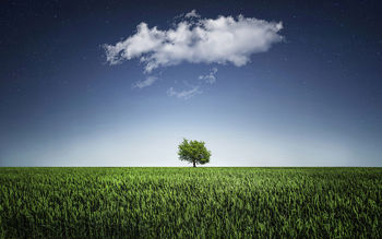 Green Tree Alone screenshot