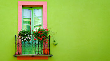 Green Wall Window screenshot