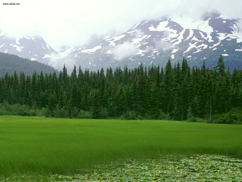 Greener Pastures Moose Pass Alaska screenshot