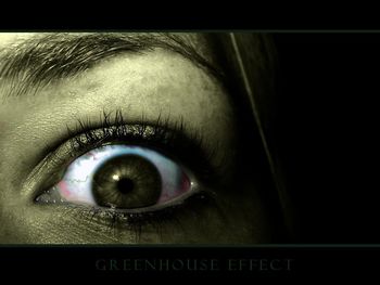Greenhouse Effect screenshot