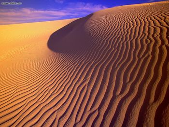 Gypsum Sand Dunes In Evening Light New Mexico screenshot