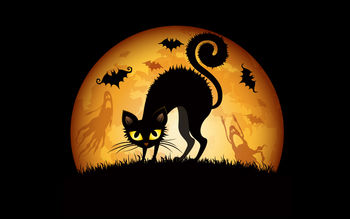 Halloween Cats Bats screenshot