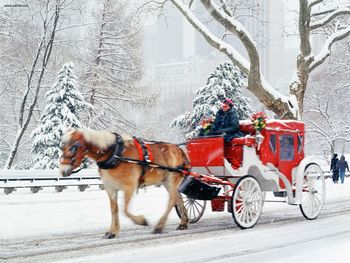 Hansom Cab Central Park New York screenshot