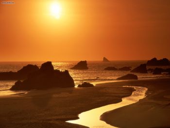 Harris Beach State Park Brookings Oregon screenshot