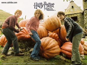 Harry Potter And The Prisoner Of Azkaban screenshot