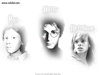 Harry Potter - Trio screenshot