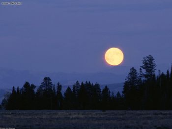 Harvest Moon Wyoming screenshot