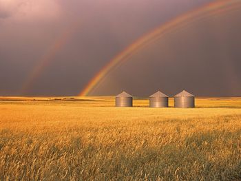 Harvesting Rainbows, Alberta, Canada screenshot