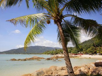 Hat Lamai Beach, Ko Samui, Thailand screenshot