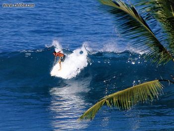 Hawaii Oahu Kailua Surfer screenshot