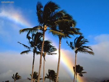 Hawaiian Rainbow screenshot