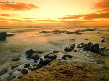 Hawaiian Seascape Hawaii screenshot