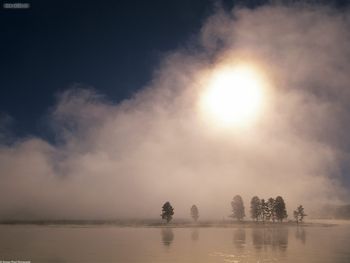 Hayden Valley Yellowstone National Park Wyoming screenshot