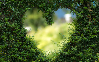 Heart Green Leaves screenshot