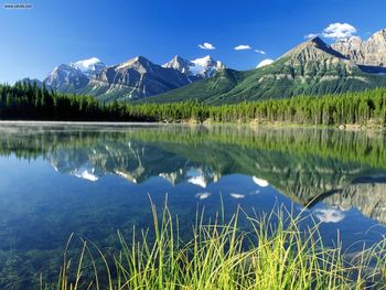 Herbert Lake And Bow Range Canadian Rockies Alberta screenshot