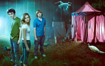 Hermione Granger and Harry Potter Crew HD Wide wallpaper preview