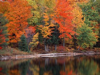 Hiawatha National Forest Upper Peninsula Michigan screenshot