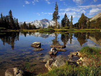 High Country Near Tioga Pass, Yosemite National Park, California screenshot