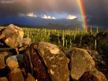 Hohokam Petroglyphs Saguaro National Park Arizona screenshot