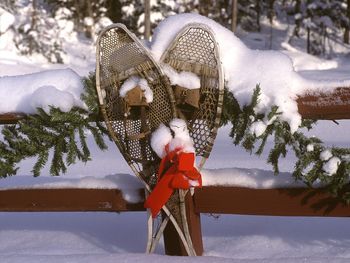 Holiday Snowshoes, Vermont screenshot