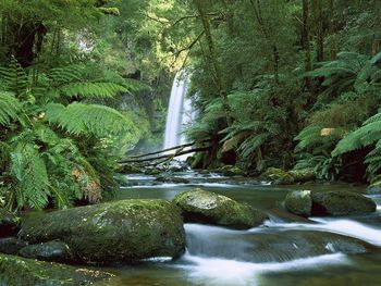 Hopetoun Falls, Aire River, Otway National Park, Victoria, Australia screenshot