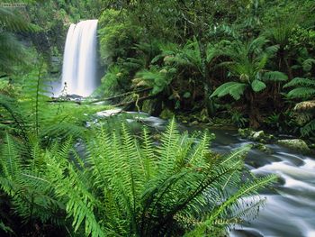 Hopetoun Falls Otway Ranges Victoria Australia screenshot