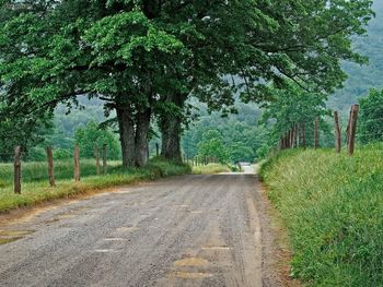 Hyatt Lane Great Smoky Mountains Tennessee screenshot