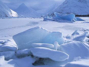 Icebergs Within A Frozen Lake, Alaska screenshot