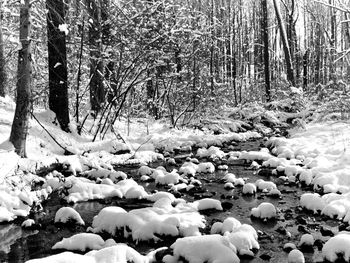 Icy Cold River Ontario screenshot