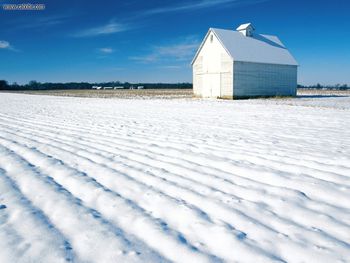 Icy Rows screenshot