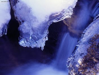 Icy Waters Hoover Wilderness California screenshot