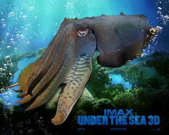 IMAX Under The Sea 6 screenshot