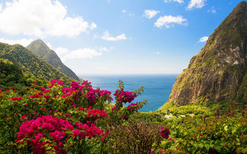 India Island Mountain Landscape screenshot