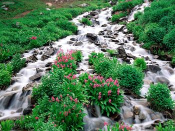 Indian Peaks Wilderness Roosevelt National Forest Colorado screenshot