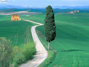 It Country Road Tuscany Italy screenshot