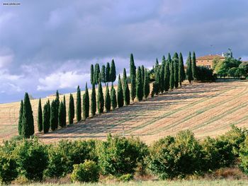 It Val D Orcia Italy screenshot