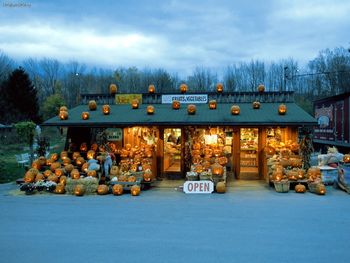 Jack O Lantern Stand screenshot