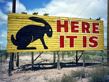Jack Rabbit Trading Post Sign Joseph City Arizona screenshot