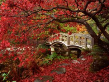 Japanese Garden British Columbia screenshot