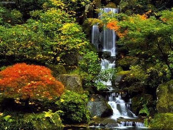 Japanese Garden, Portland, Oregon screenshot