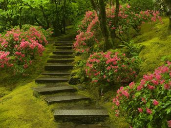 Japanese Garden Washington Park screenshot