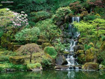 Japanese Gardens, Portland, Oregon screenshot
