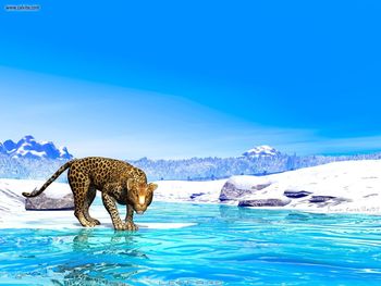 JCastillo - Leopard screenshot