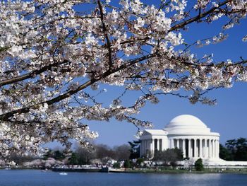 Jefferson Memorial Washington Dc screenshot