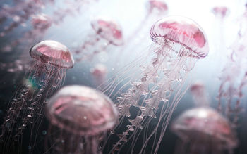 Jellyfish Digital Artwork screenshot